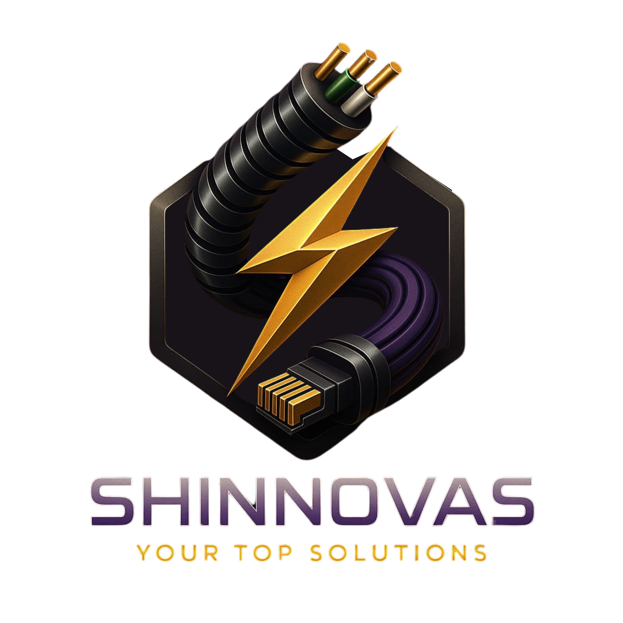 Shinnovas logo